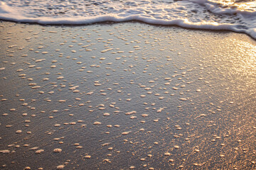Sea foam on the shore