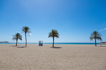 Palm trees close to the Mediterranean Sea and under the blue sky