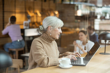 Calm older woman sitting in cafe diligently doing her work on laptop