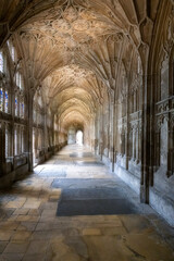 Cloister of Gloucester cathedral, the Cathedral Church of St Peter and the Holy and Indivisible Trinity, Gloucestershire, England