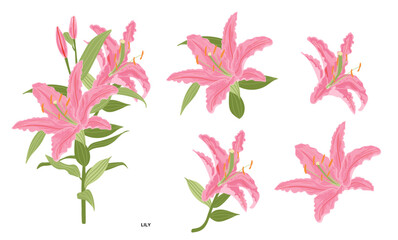 Pink Lily Flower Set