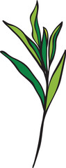 green plant illustration