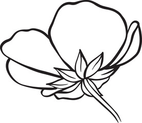 illustration of a flower