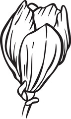 hand drawn illustration of a blooming flower