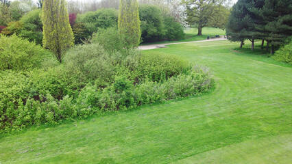 Beautiful view of Flowers and Plant in the Garden