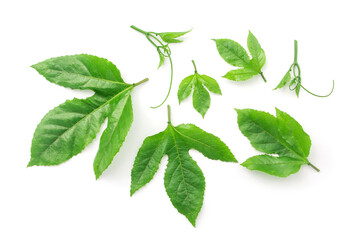 Passion fruit leaves pattern isolated on white background. top view.