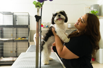 Dog lover enjoying working as a pet groomer with a shih tzu dog