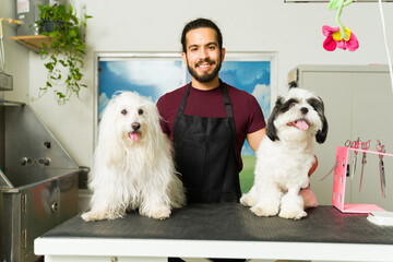 Shih tzu and maltese dogs with a happy man and pet groomer