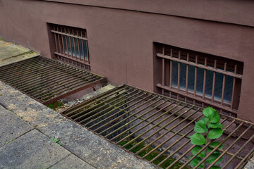 Part of building and window basement is covered with a grate in the pavement