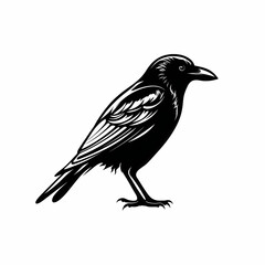 Fototapeta premium Crow Symbol Black and White