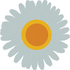 yellow flower on a white background. 1 Vector Icon