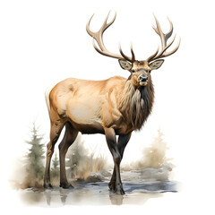 Brushstroke watercolor style realistic full body portrait of a elk on white background Generated by AI 03