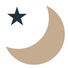 Moon flat icon on white background