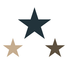 Star flat icon on white background