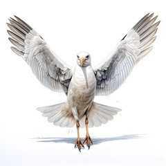 Brushstroke watercolor style realistic full body portrait of a relic gull on white background Generated by AI 03