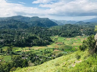 landscape in the mountains