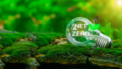 Environmental concept and energy saving. Light bulb with circular economy icons. Net Zero. Global...