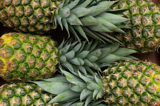 Pineapples