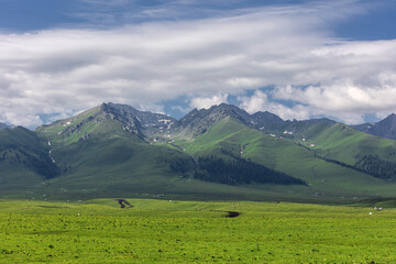 Natural scenery of Narat prairie in Xinjiang