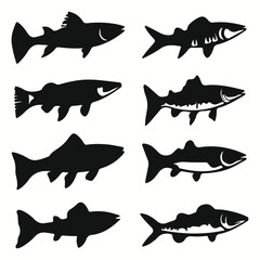Barracuda silhouettes and icons. Black flat color simple elegant Barracuda animal vector and illustration.	