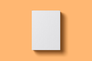 Blank software box mockup 