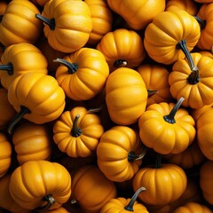 banner panorama wallpaper, seamless pattern texture - Top view of many pumpkin.