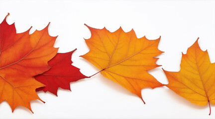 Fall leaves are laying down on a white background by Generative AI