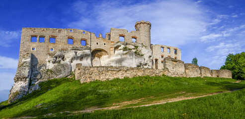 Szlak Orlich Gniazd - zamek Ogrodzieniec we wsi Podzamcze  © Janusz Lipiński