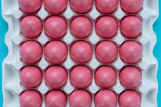 Close-up shot of twenty five freshly painted pink eggs lying in white carton against turquoise background, high angle view 