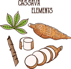 set cassava elements cartoon illustration