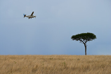 Fototapeta na wymiar African landscape with a lone tree and an airplane