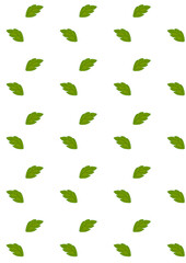 나뭇잎_패턴배경