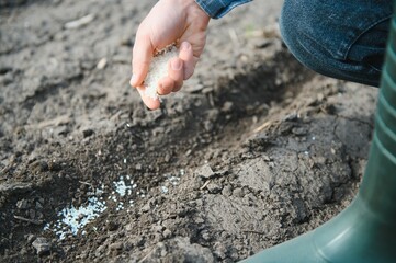Farmer's hand planting seed in soil