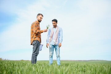 Two indian farmer standing at agriculture field. The concept of agriculture