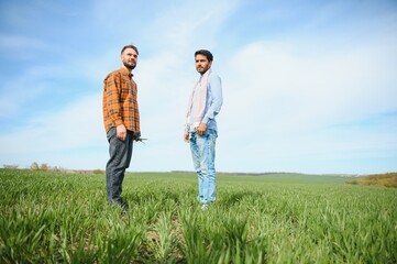 Indian and European farmers stand in a field of green wheat