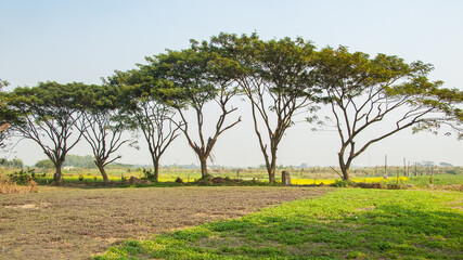 Fototapeta premium Winter village photography