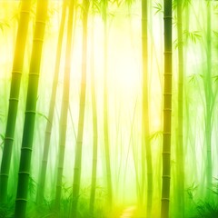 Natural blurred bamboo forest background