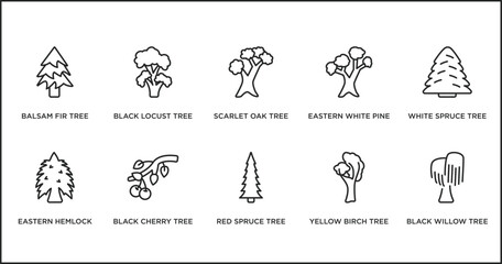 Fototapeta na wymiar nature outline icons set. thin line icons such as scarlet oak tree, eastern white pine tree, white spruce tree, eastern hemlock black cherry red spruce yellow birch vector.