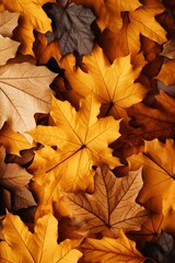 Naklejka na ściany i meble Fall Season Concept, Photo-Realistic Fallen Leaves Created with Generative AI