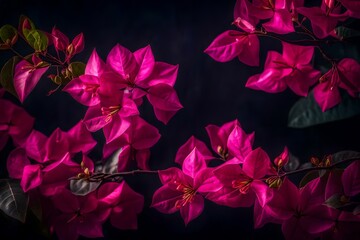 flower on black background 
Created using generative AI tools