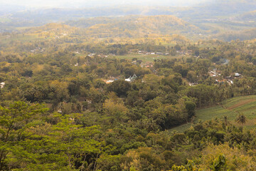 the natural view from above showing the many green trees and forests