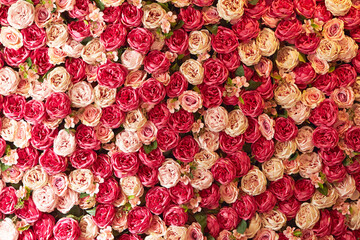 Naklejka premium rose background