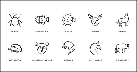 animals outline icons set. thin line icons such as puffer, jerboa, coyote, hegdehog, philippine tarsier, desman, wild horse vector.