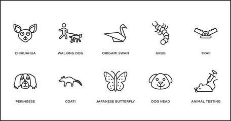 animals outline icons set. thin line icons such as origami swan, grub, trap, pekingese, coati, japanese butterfly, dog head vector.