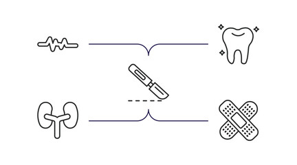 medical outline icons set. thin line icons such as lifeline, teeth, scalpel, kidneys, plaster vector.
