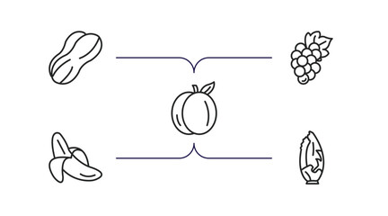 fruits and vegetables outline icons set. thin line icons such as peanut, grape, apricot, banana, lettuce vector.