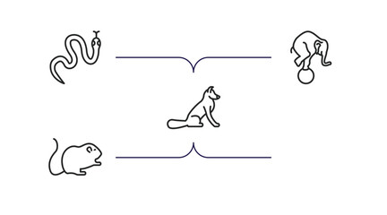 animals outline icons set. thin line icons such as cottonmouth, elephant on a ball, rat, fox sitting, hamster vector.