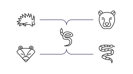animals outline icons set. thin line icons such as porcupine, cheetah, blindworm, badger, coral snake vector.
