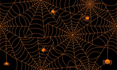 Sierkussen Dieren patronen Halloween spider web seamless pattern with black and orange. Vector Repeating background.  © Thongchai Jindaphant