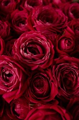 bouquet of roses